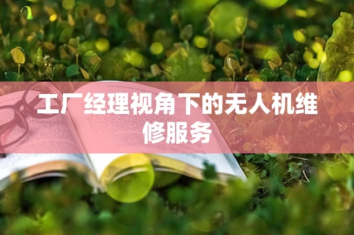 工厂经理视角下的无人机维修服务