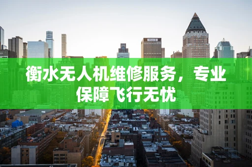 衡水无人机维修服务，专业保障飞行无忧