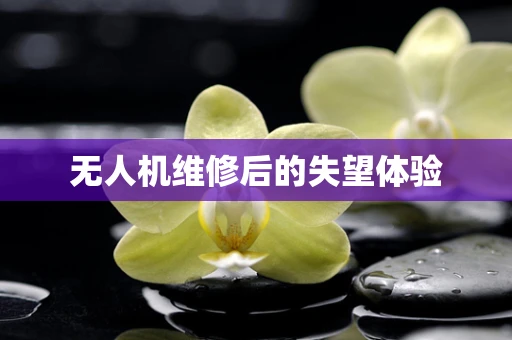 无人机维修后的失望体验