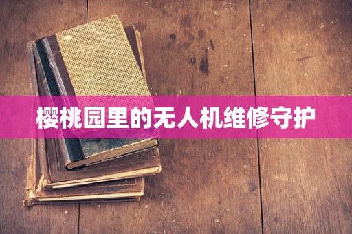 樱桃园里的无人机维修守护
