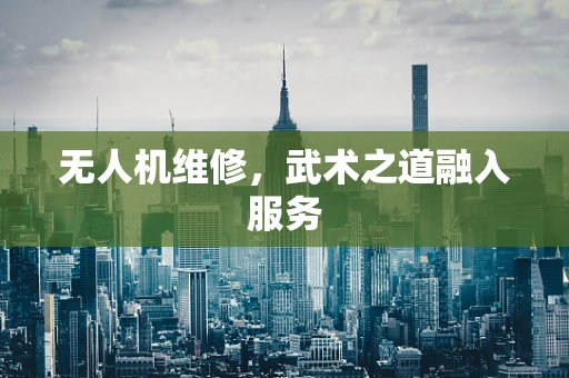 无人机维修，武术之道融入服务