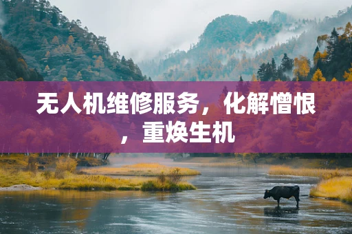 无人机维修服务，化解憎恨，重焕生机