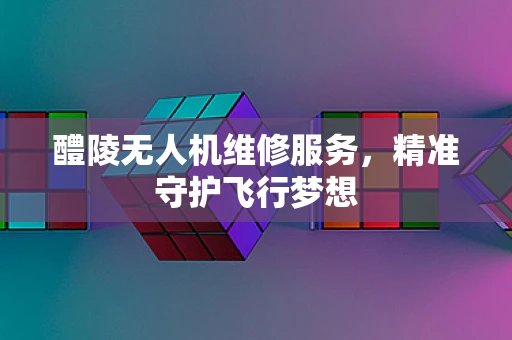 醴陵无人机维修服务，精准守护飞行梦想