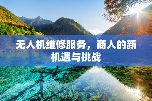 无人机维修服务，商人的新机遇与挑战