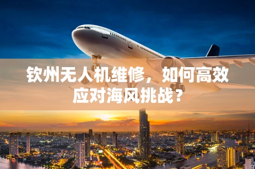 钦州无人机维修，如何高效应对海风挑战？