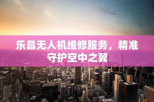 乐昌无人机维修服务，精准守护空中之翼