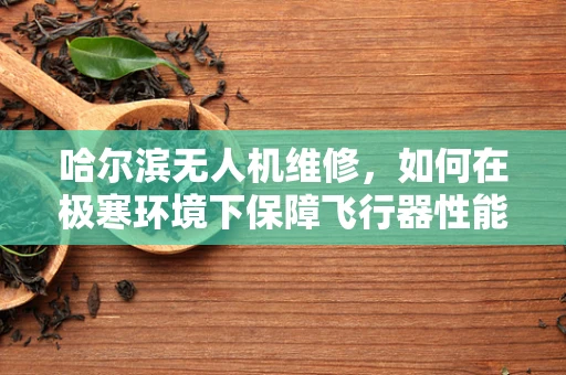 哈尔滨无人机维修，如何在极寒环境下保障飞行器性能？