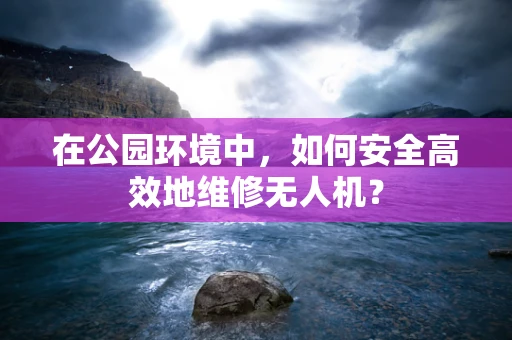 在公园环境中，如何安全高效地维修无人机？