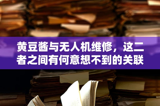 黄豆酱与无人机维修，这二者之间有何意想不到的关联？