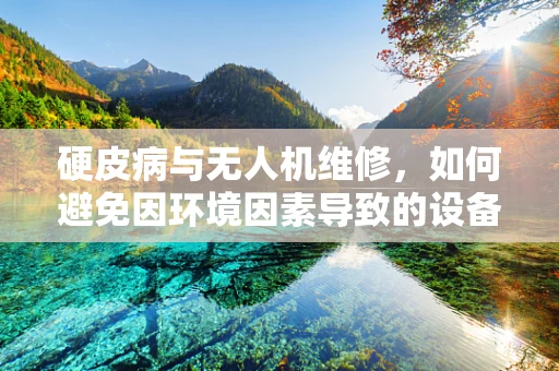 硬皮病与无人机维修，如何避免因环境因素导致的设备损伤？