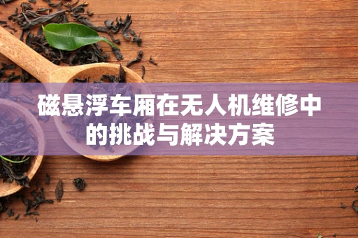 磁悬浮车厢在无人机维修中的挑战与解决方案