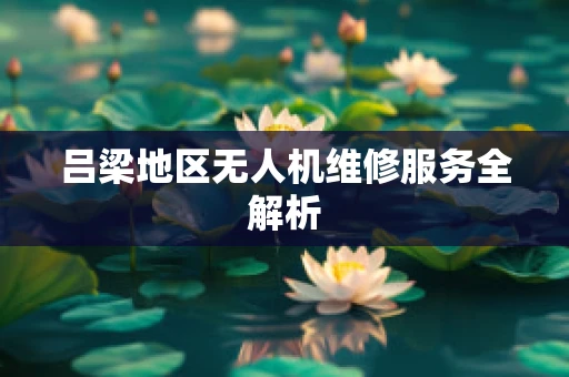 吕梁地区无人机维修服务全解析