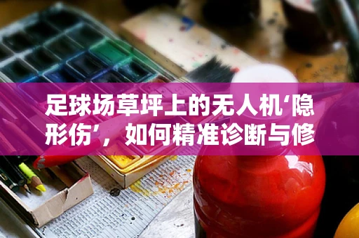 足球场草坪上的无人机‘隐形伤’，如何精准诊断与修复？