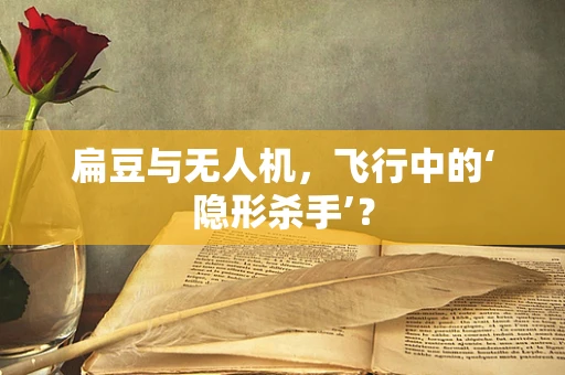 扁豆与无人机，飞行中的‘隐形杀手’？