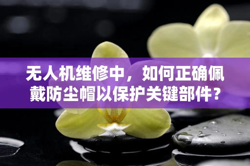 无人机维修中，如何正确佩戴防尘帽以保护关键部件？
