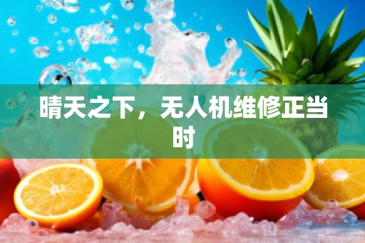 晴天之下，无人机维修正当时