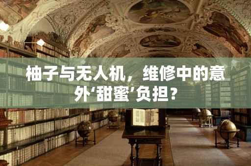 柚子与无人机，维修中的意外‘甜蜜’负担？