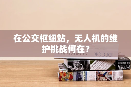 在公交枢纽站，无人机的维护挑战何在？
