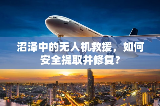 沼泽中的无人机救援，如何安全提取并修复？