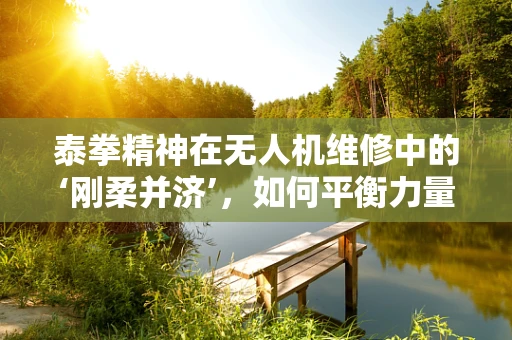 泰拳精神在无人机维修中的‘刚柔并济’，如何平衡力量与精确？