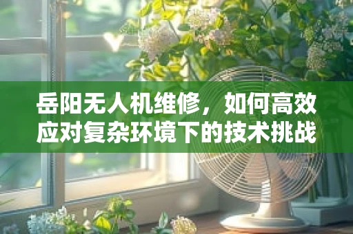 岳阳无人机维修，如何高效应对复杂环境下的技术挑战？