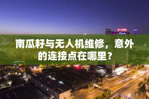 南瓜籽与无人机维修，意外的连接点在哪里？