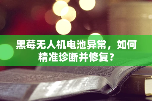 黑莓无人机电池异常，如何精准诊断并修复？