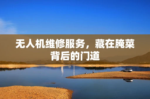 无人机维修服务，藏在腌菜背后的门道