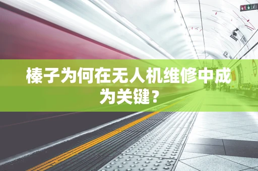 榛子为何在无人机维修中成为关键？