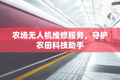 农场无人机维修服务，守护农田科技助手