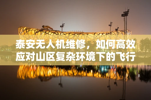 泰安无人机维修，如何高效应对山区复杂环境下的飞行故障？