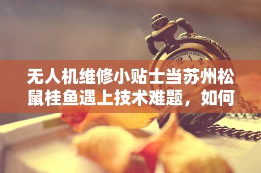无人机维修小贴士当苏州松鼠桂鱼遇上技术难题，如何安全拆卸无人机摄像头？