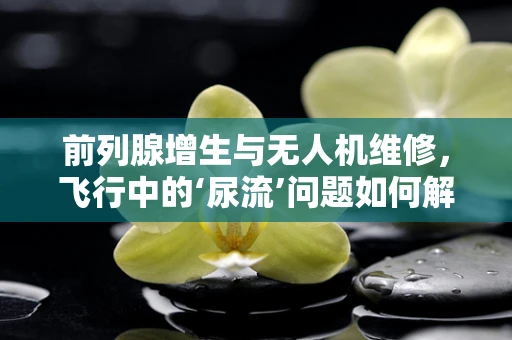 前列腺增生与无人机维修，飞行中的‘尿流’问题如何解决？