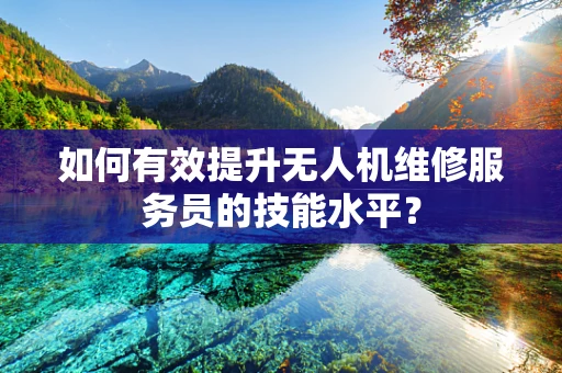 如何有效提升无人机维修服务员的技能水平？