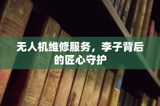 无人机维修服务，李子背后的匠心守护