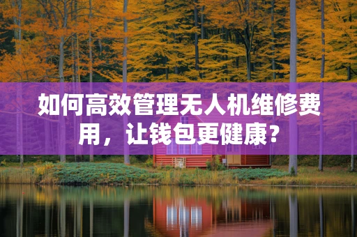 如何高效管理无人机维修费用，让钱包更健康？