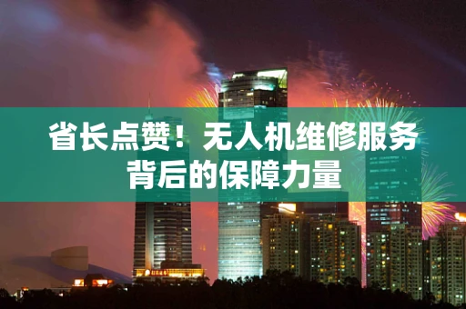 省长点赞！无人机维修服务背后的保障力量