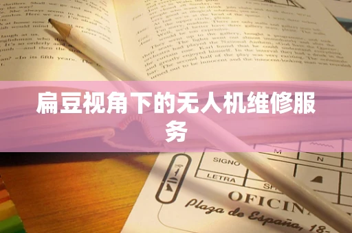扁豆视角下的无人机维修服务