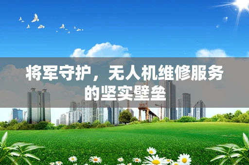 将军守护，无人机维修服务的坚实壁垒