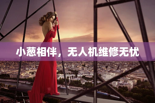 小葱相伴，无人机维修无忧