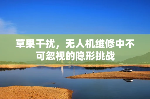 草果干扰，无人机维修中不可忽视的隐形挑战
