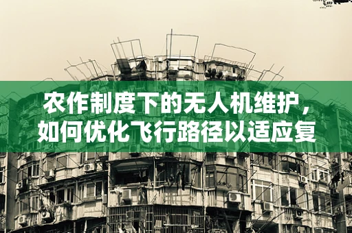 农作制度下的无人机维护，如何优化飞行路径以适应复杂农田？