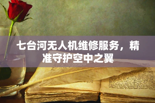 七台河无人机维修服务，精准守护空中之翼