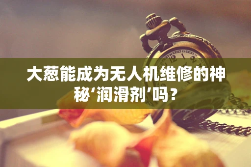 大葱能成为无人机维修的神秘‘润滑剂’吗？