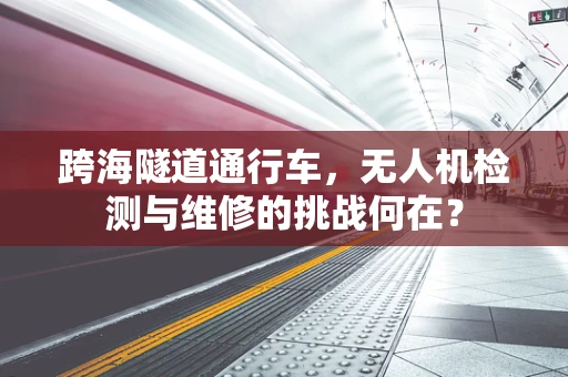 跨海隧道通行车，无人机检测与维修的挑战何在？