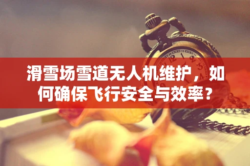 滑雪场雪道无人机维护，如何确保飞行安全与效率？