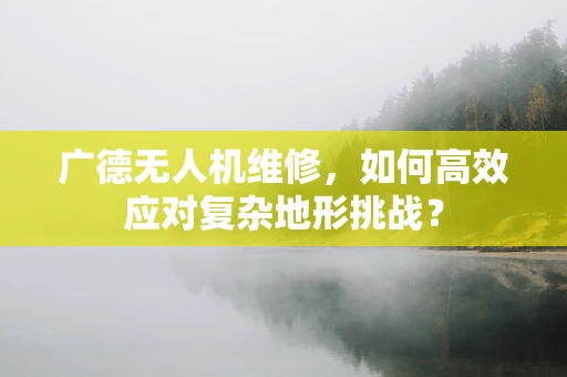 广德无人机维修，如何高效应对复杂地形挑战？
