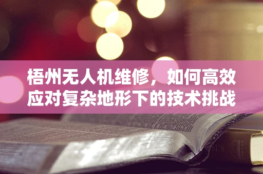 梧州无人机维修，如何高效应对复杂地形下的技术挑战？