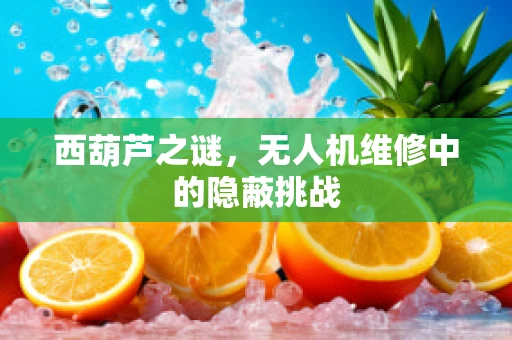 西葫芦之谜，无人机维修中的隐蔽挑战