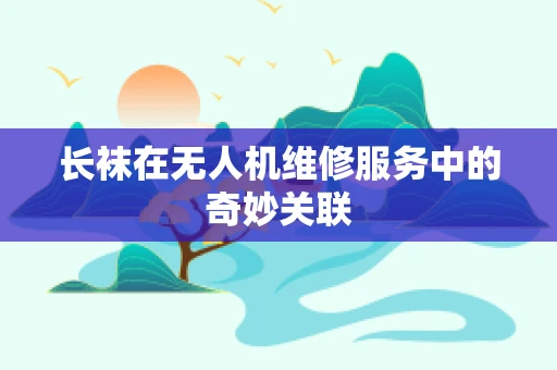 长袜在无人机维修服务中的奇妙关联